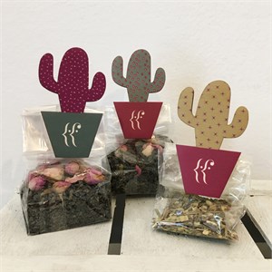 Kit 3 Mollette in legno Cactus "Saguaro"
