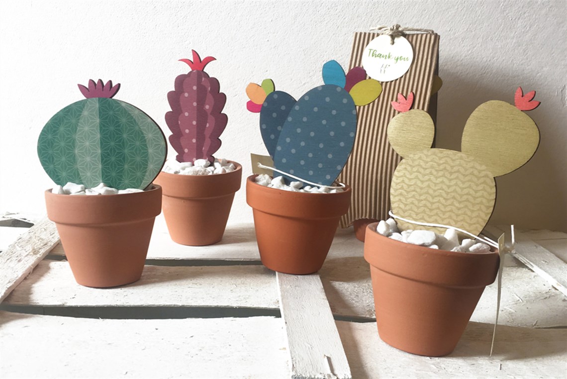 cactus soprammobile