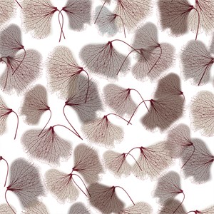 Carta da parati "Ginkgo" Marrone